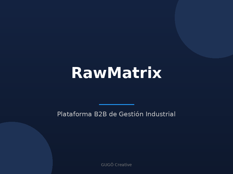 Proyecto Midegasa — RawMatrix — Consultoría + diseño