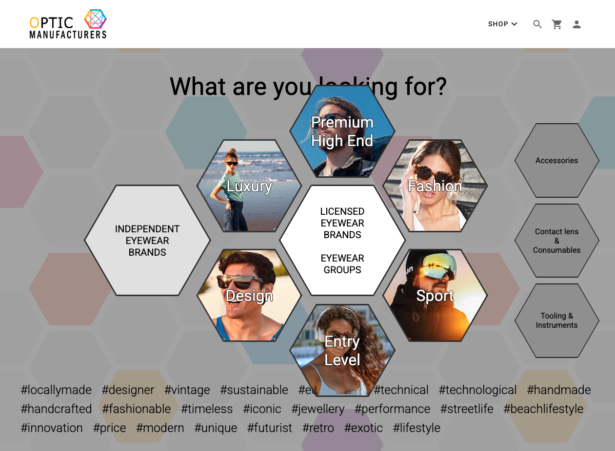 Proyecto Optic Manufacturers — Plataforma B2B